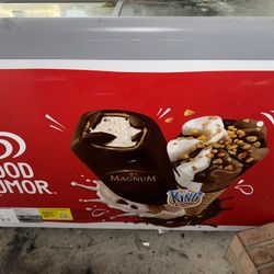 Ice Cream Freezer 