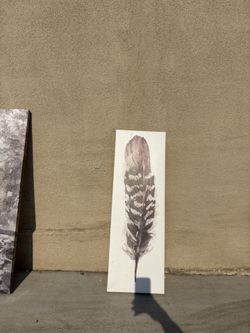 Painting Shoot A Offer