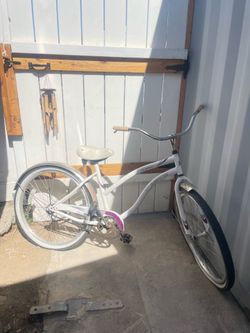 Bike mantis