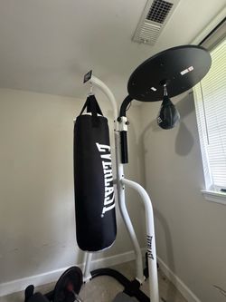 Everlast boxing bag with speed bag
