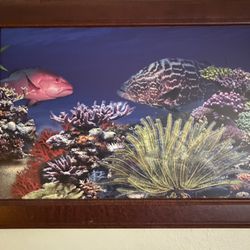 Beautiful glossy print photos available.