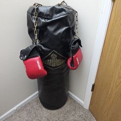 Century Punching Bag and Gloves