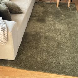 Green 6x9 Wool-Blend Area Rug – $75