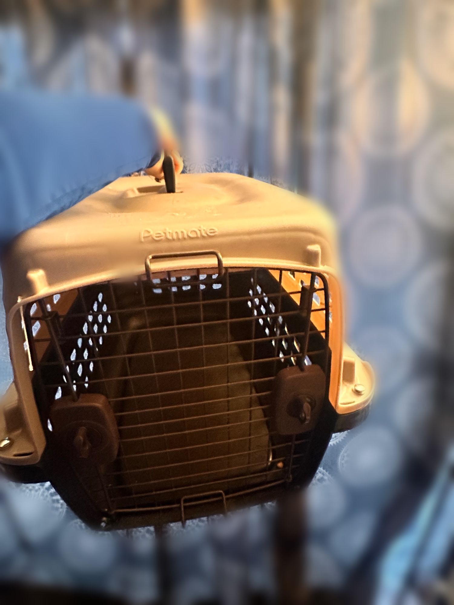 Medium Dog Crate 