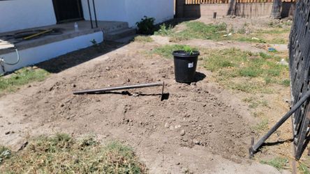 Sod Fresh And Sprinklers