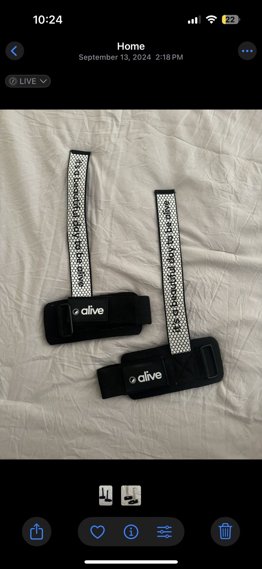 Whitney Simmons alive Lifting straps