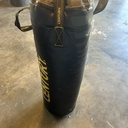 Punching Bag !!