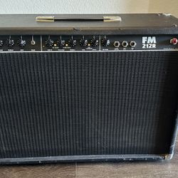 Fender Electric Guitar Amp