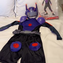 Halloween Costume Big Hero 6