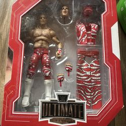 Shawn Michaels Ultimate Fan Takeover 