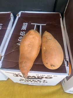 Jumbo sweet potatoes