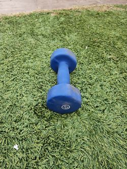 10Lb Dumbell