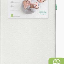 Newton Crib Mattress (almost New)