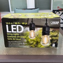 LED Cafe String Lights With 16/3 Cord & 24 Bulbs Plus 2 Spares
