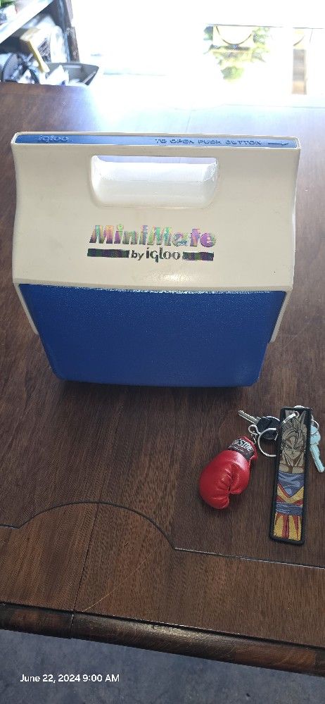 Small Lunch Cooler