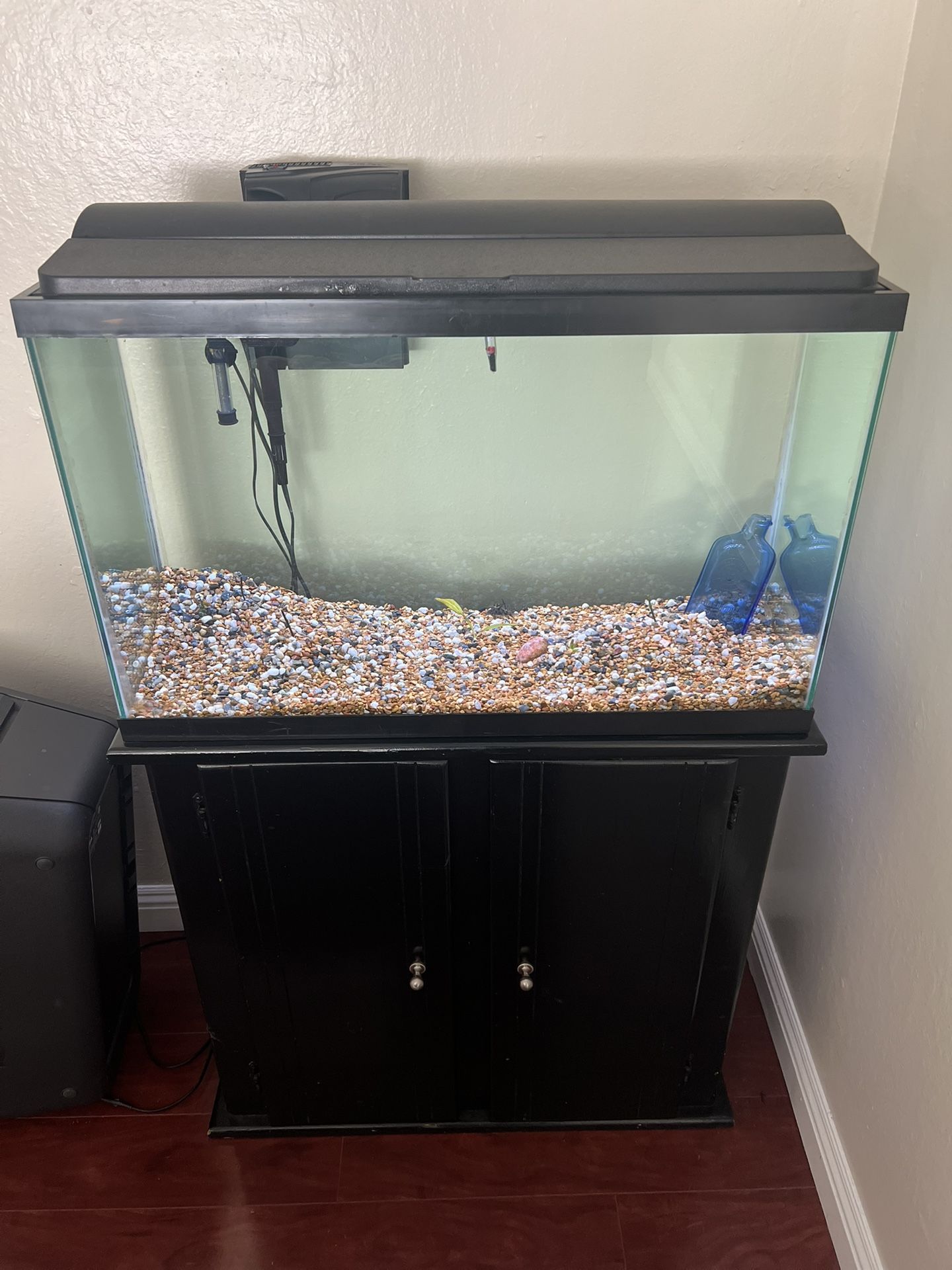 Fish Tank Set Up