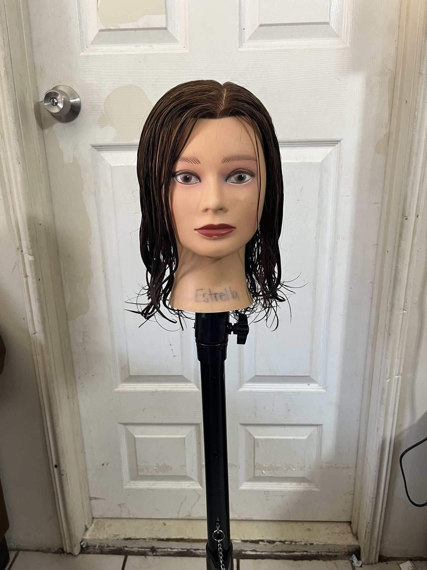 Mannequin Heads For Cosmetology