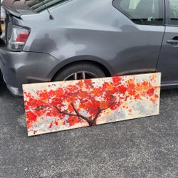 Beautiful Paint ! Frame 