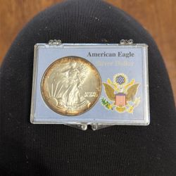 America Eagle Silver Dolar 