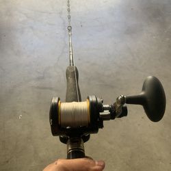 Shimano Terez/ Penn Fathom