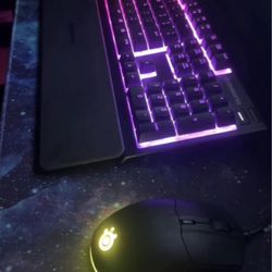Steelseries Keyboard & Steelseries Mouse