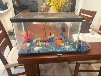 10 gallon aquarium and accessories