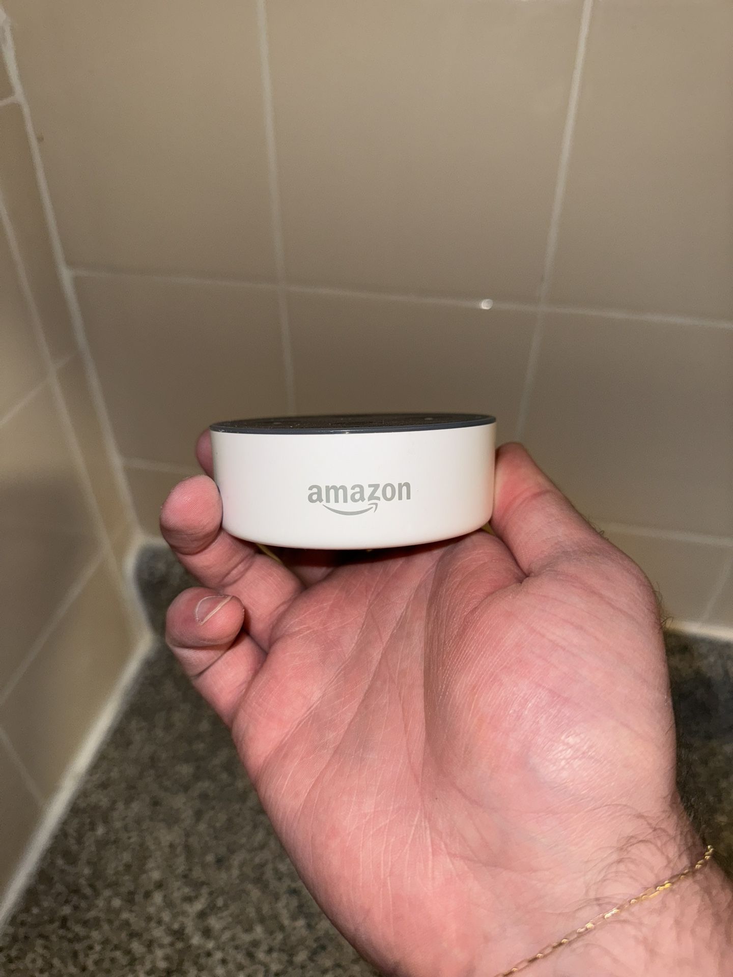 Amazon Alexa, Home Voice Assistant