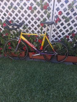 Quintana roo tequila bike