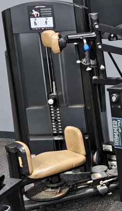 Life Fitness Rotary Torso Machine