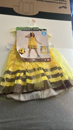 Minecraft costumes