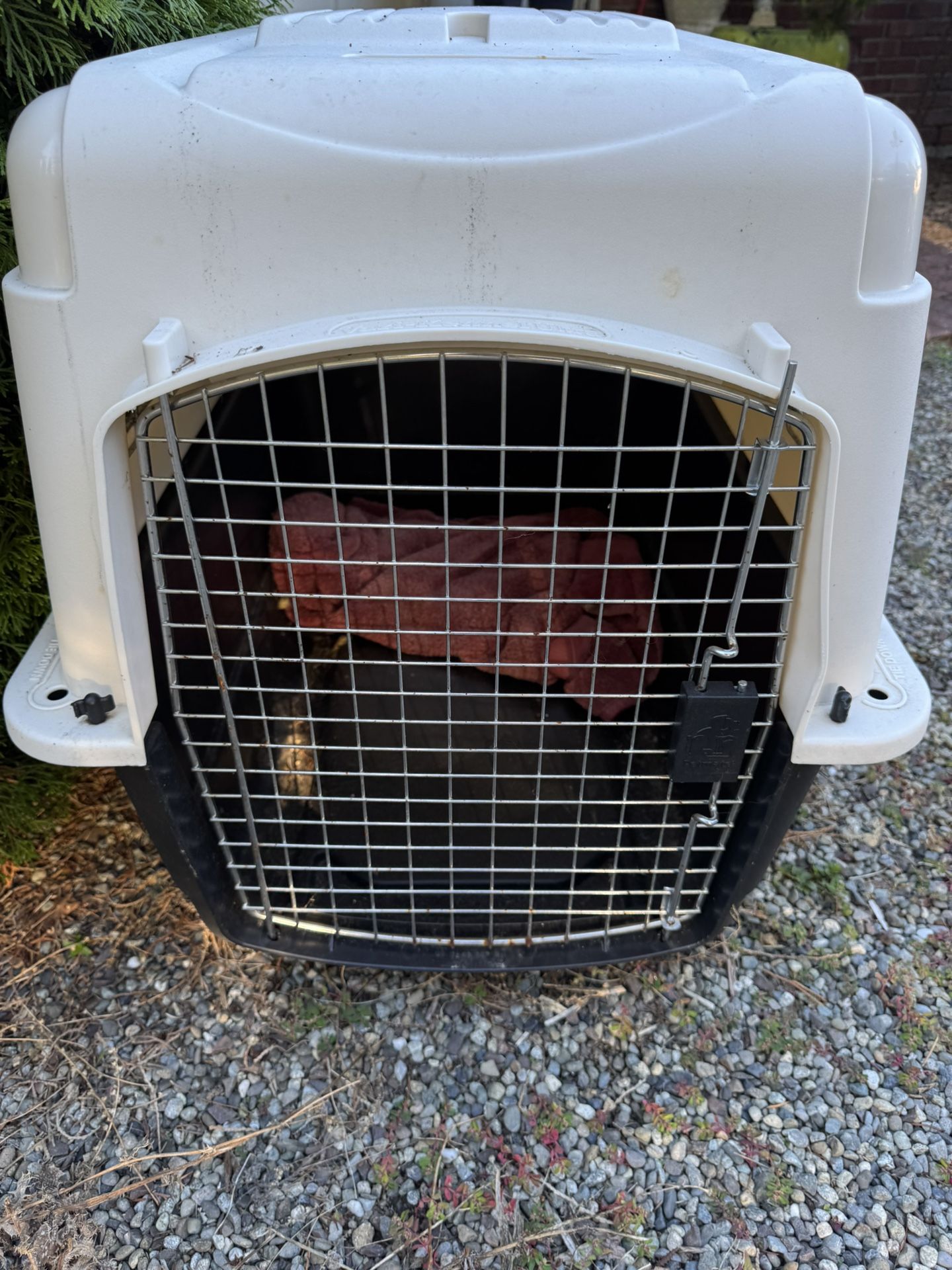 Dog Crate