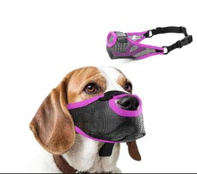 Dog Muzzle (Bozal De Perro)
