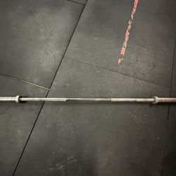 Rogue Echo Barbell