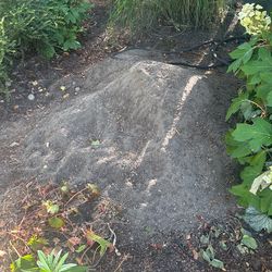 Free Dirt