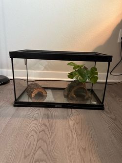 10 Gallon Reptile Tank