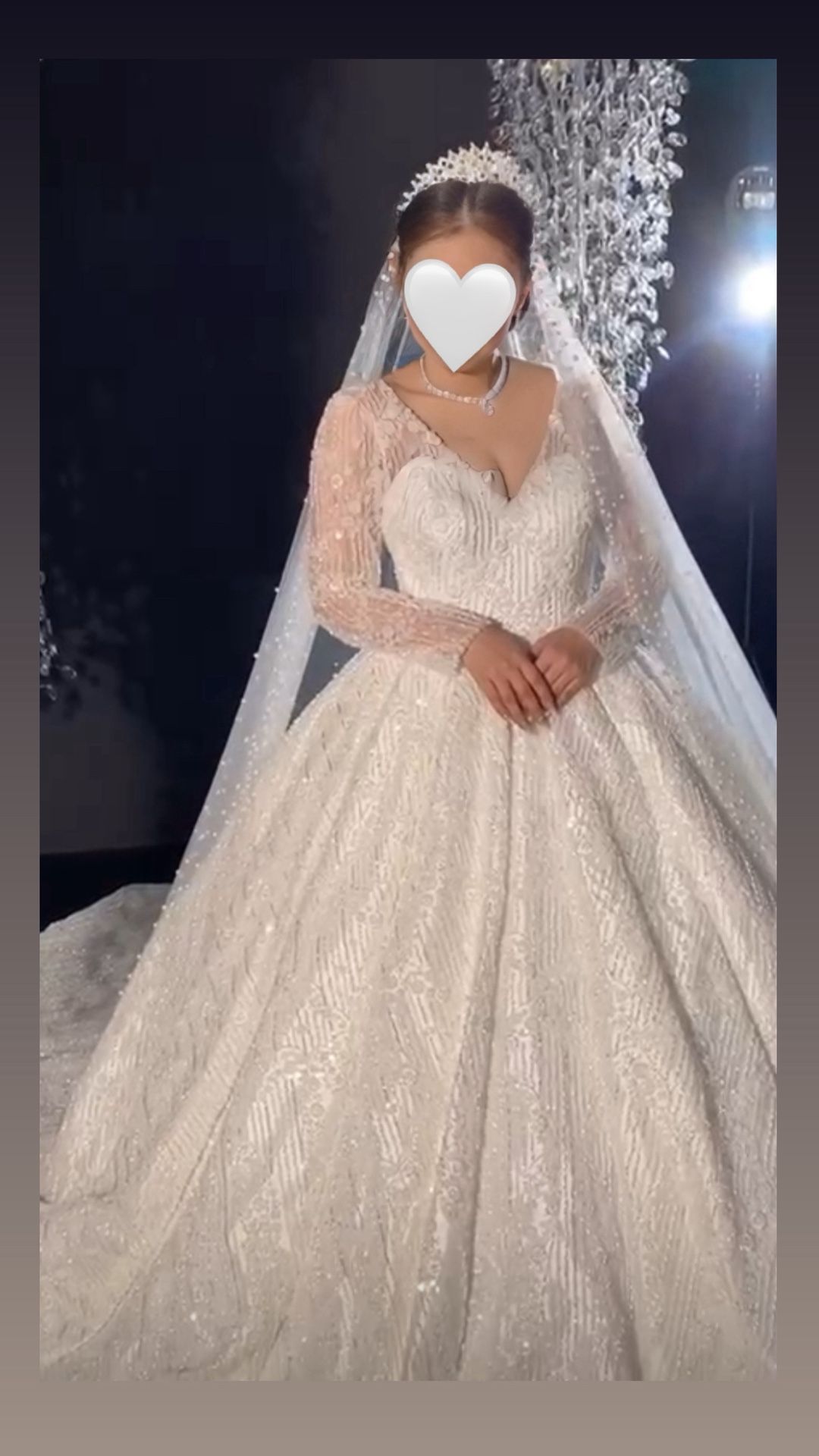 WEDDING DRESS WITH VEIL (READ DESCRIPTION)