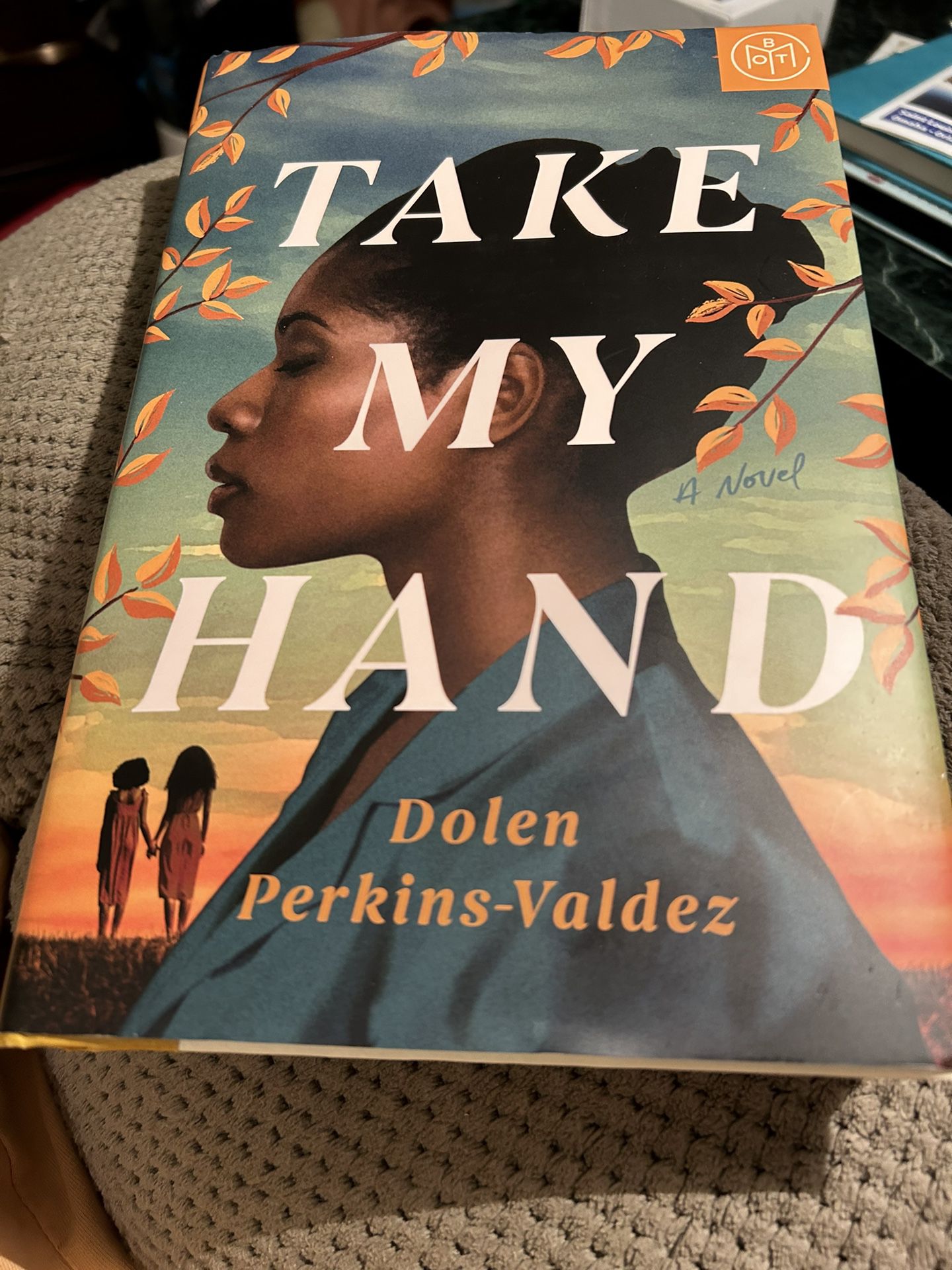Book-Take My Hand
