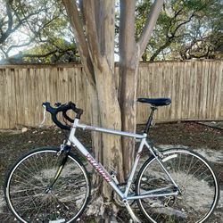 Specialized Road Bike