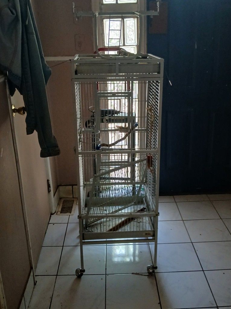 Large Bird Cage
