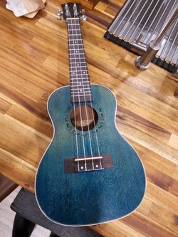 Ukulele with Bag