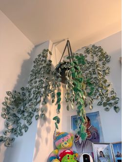 Crocheted pothos
