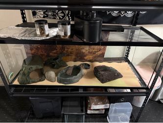 Bearded Dragon Tank 90 gallon