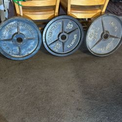 45 Pound Olympic Plates