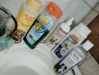 Barely use pet shampoo $45 all