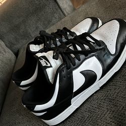 Nike Air Dunk Size 13