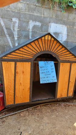 Large dog house