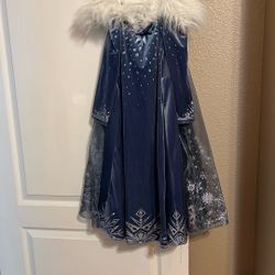 Elsa Dress Velour  With Lining