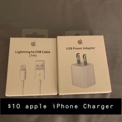 Apple iPhone Charger