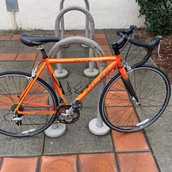 Trek Road Bicycle 