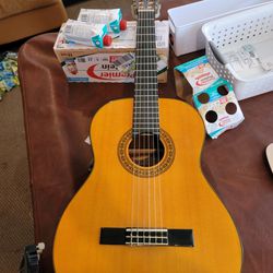 Washburn Spanish Acoustic Guitar